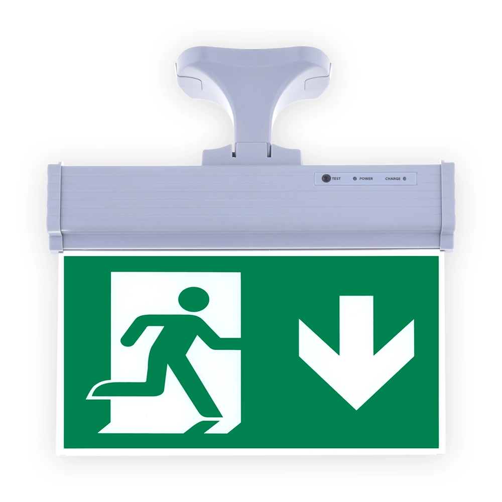 Işıklı Acil Çıkış aşağı yön askılı çift yönlü